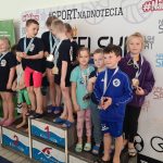 Dwie imprezy pływackie jednego dnia i wspaniałe sukcesy naszych zawodników – TMKS Champions Toruń